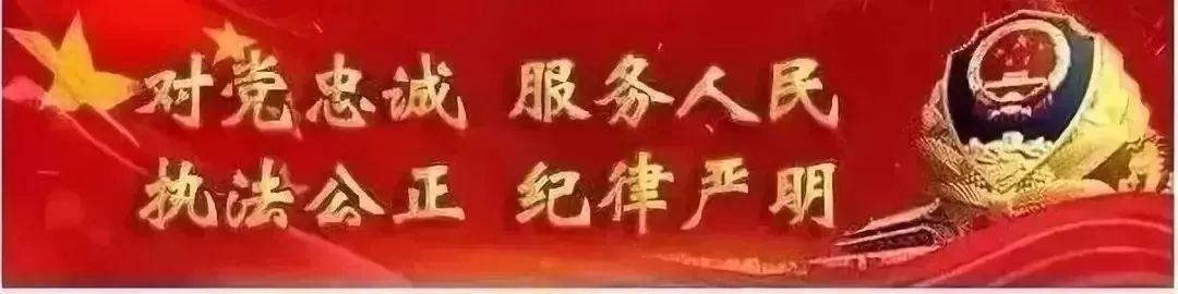 【发扬三牛精神】陈智 刑警的一身“犇”劲（公安 三牛精神）