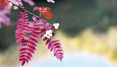 细细感受日月山的美（赞美日月山）