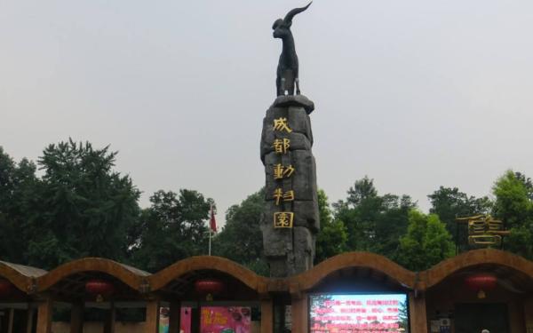 网友建议成都动物园和熊猫基地合并，官方：各自功能不可替代（成都动物园和熊猫基地有什么区别）