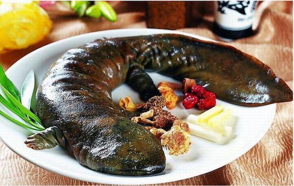 野味_疯狂的食谱：人类野味小史