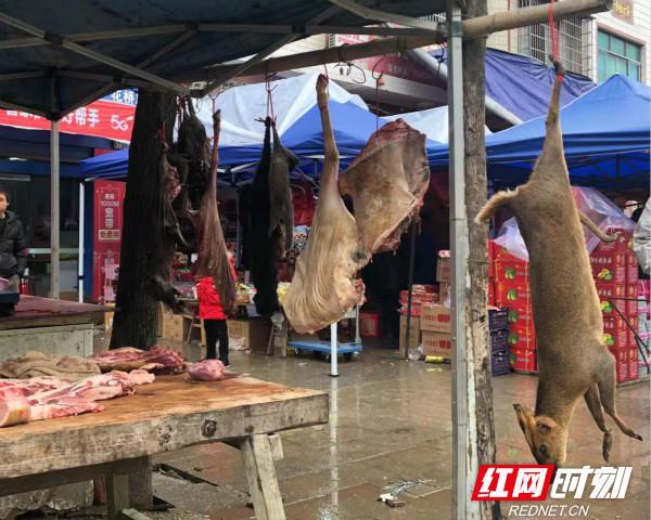 野味_顶风作案！疑似豹猫、赤麂、果子狸：邵阳一男子公开贩卖“野味”被查