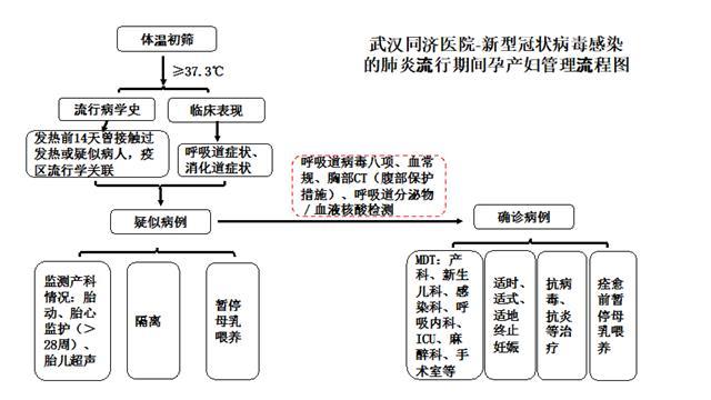 疫情流行期须关照孕产妇及新生儿，同济权威发布孕产妇及新生儿管理指导意见