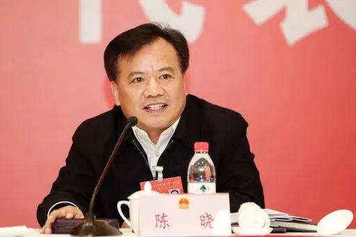 多名“同事”先后被查，厅官主动投案（主动投案的厅级官员）