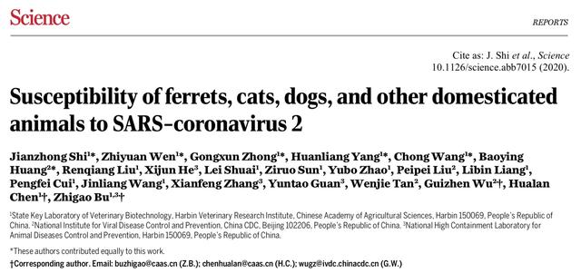 《科学》刊发哈兽研研究：评估雪貂、猫、犬等对新冠易感性