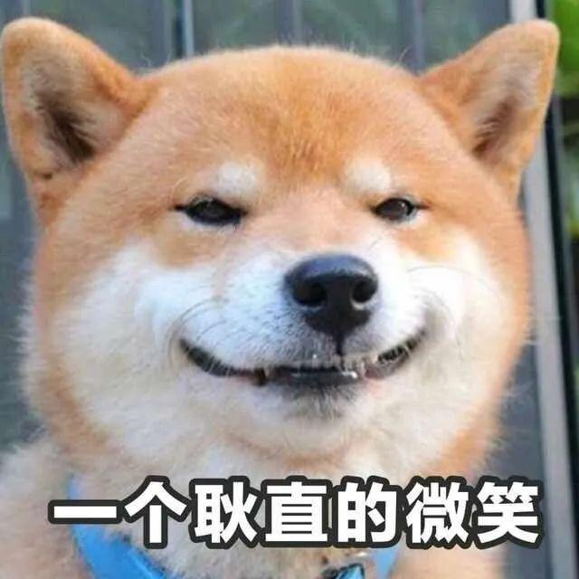 真干货（教你成为手机摄影高手）