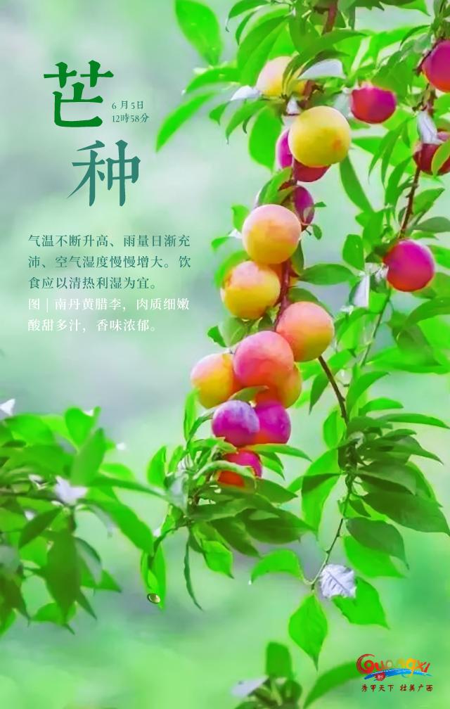 河池南丹：全域可避暑 风情满瑶乡（河池南丹里湖瑶族）