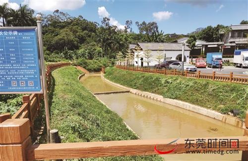 大岭山镇旧飞鹅村：加大治水力度 为乡村发展注入新动力