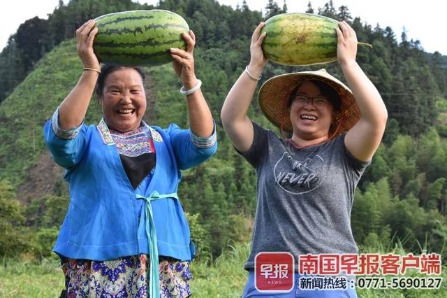 扎根奉献、创业带头……广西扶贫人在一线是这样工作的（在广西的扶贫工作中）