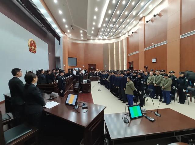 “如果我不高兴，全山东也别想吃一个好的海肠”，猖狂“海霸”被铲除（我要是不高兴,全山东人吃不到海肠）