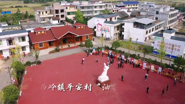 榨油机原理_延续1700年 常宁古榨房里榨出滴滴“黄金油”