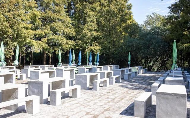 上海滨江森林公园烧烤区扩建完成，正式开放啦（上海滨江森林公园烧烤）