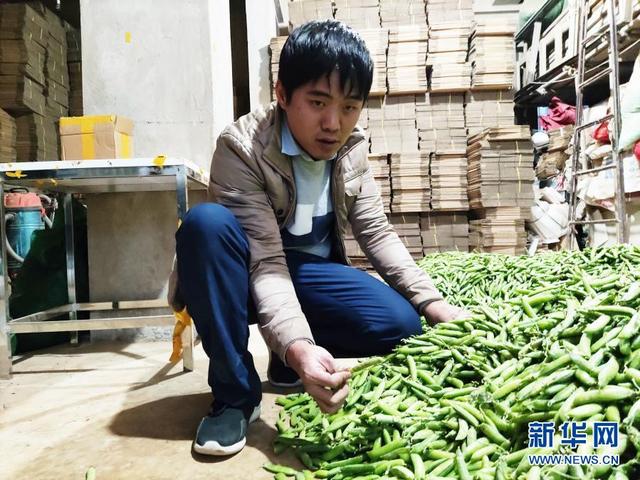 梦想就在前方——一位多重残疾人的农村创业故事（残疾人创业成功的故事）