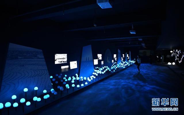 “海的理想——生态构成”艺术展海南举行（国画海南风情画展）