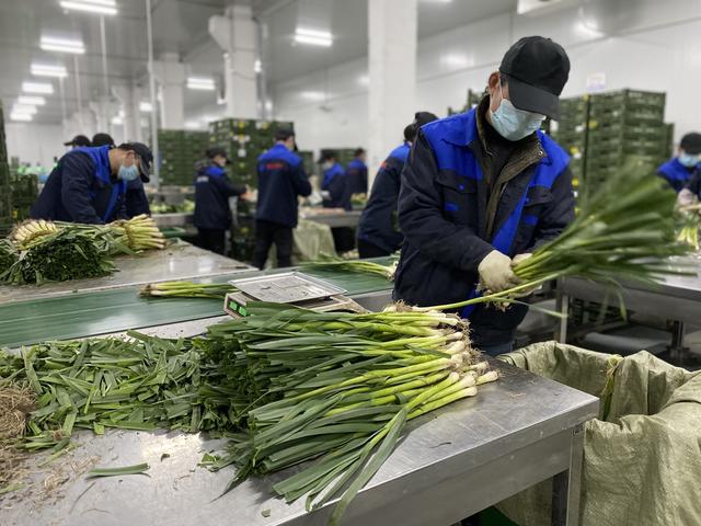 物美超市2021年将扩增200家门店，加码社区生鲜业态（物美超市多少家店2020）