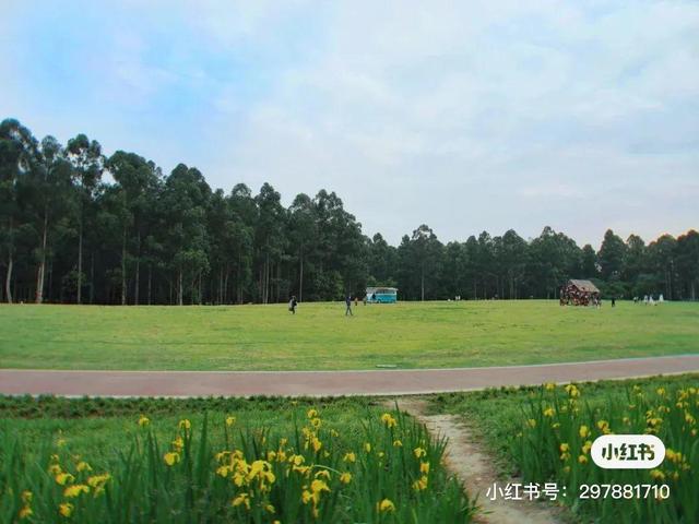 成都宠物友好型公园，野餐、赏花、遛狗，一次性全满足（成都那些公园携带宠物狗）