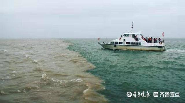 “东营人游东营”线路发布，8条精品线路等你游（东营攻略旅游自由行）