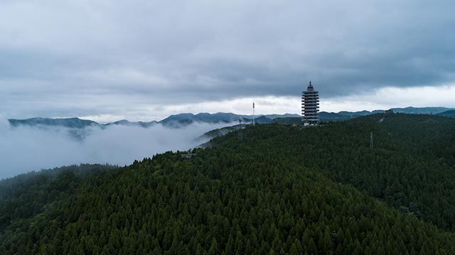 我国大力发展森林旅游助百姓致富（我国大力发展森林旅游助百姓致富的原因）