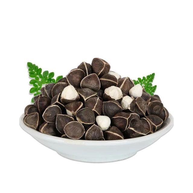 辣木茶_传说中的辣木籽，真的有那么“神”？（辣木籽到底是什么东西）