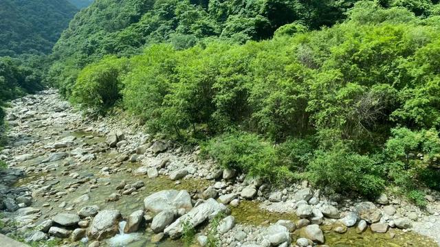 太白山游记（太白山游记感受）