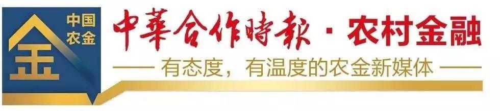 读报丨《中华合作时报·农村金融》2022年第19期精彩内容速览（6月10日出版）