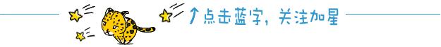 一不小心遇到蛇，你可能需要这份实用的图鉴（常见蛇图鉴）