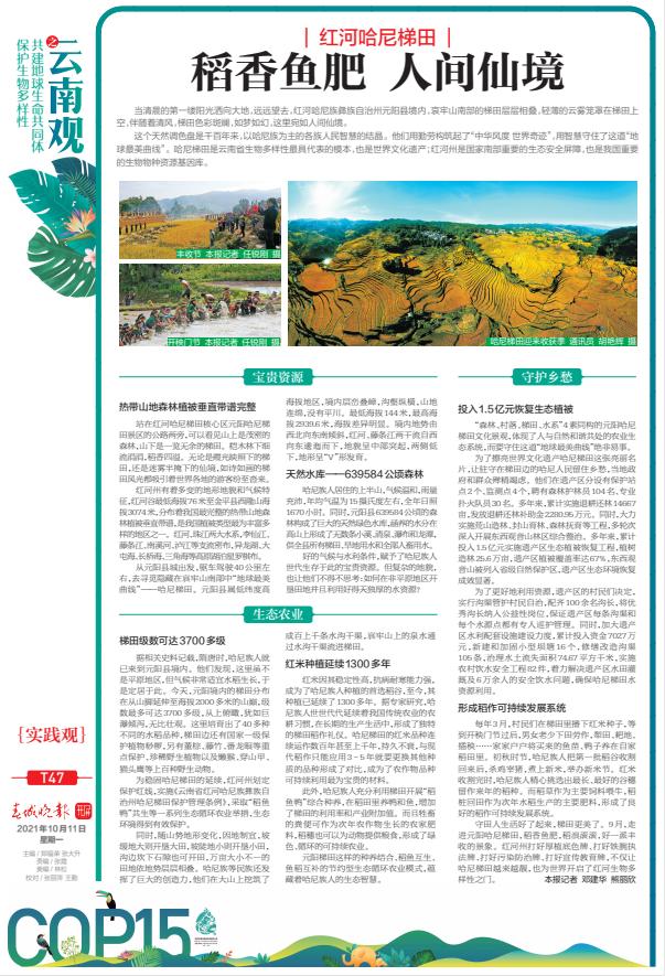 红河哈尼梯田（红河哈尼梯田最佳时间）