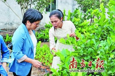 返乡创业妇女自主办合作社（返乡创业协会）