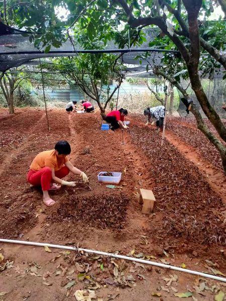 搭建创业孵化基地 培育林下经济产业（创业孵化基地建设方案）