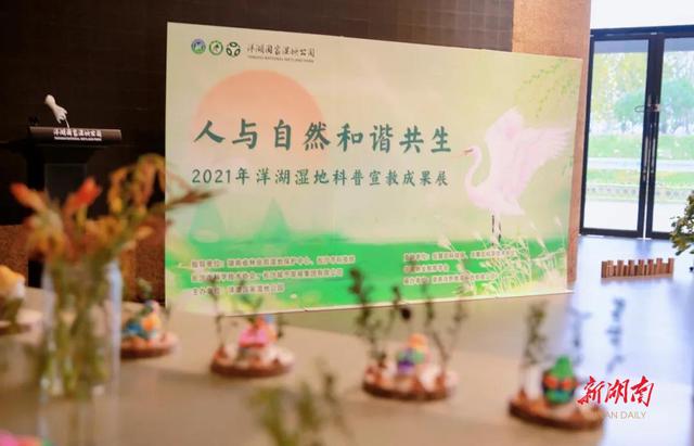 来赴一场湿地邀约吧（走进湿地,关爱自然）