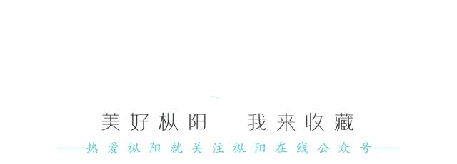 奋斗者·正青春 | 王文高：枞阳县招商引资与干事创业的工作建议