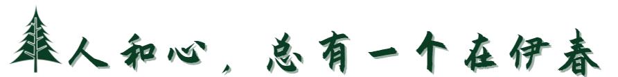 三大玩法游伊春 送你清凉一夏（伊春夏天有什么好玩的）