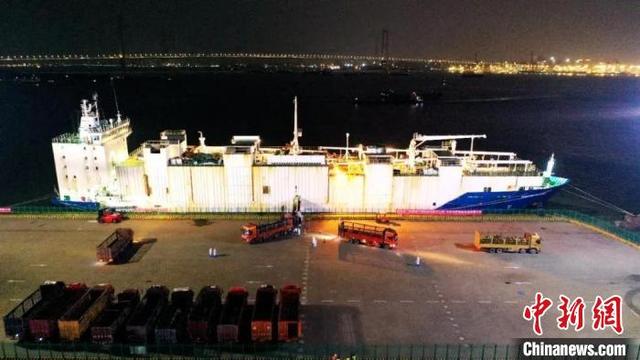 澳牛_4100头澳大利亚种牛在广州港南沙汽车码头上岸