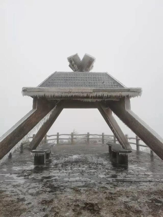 绝美雾凇丨来大明山雾凇仙境出片，惊艳你的朋友圈（大明山上今天有雾凇吗）