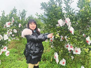 洪雅姑娘返乡创业，屡经挫折不放弃：从自己干到带着大家干