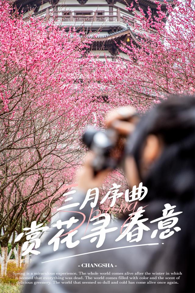 长沙3月密码：5个打卡地，承包你一整个春天的浪漫（长沙情侣打卡圣地）