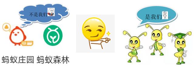 小蚂蚁撬动碳循环