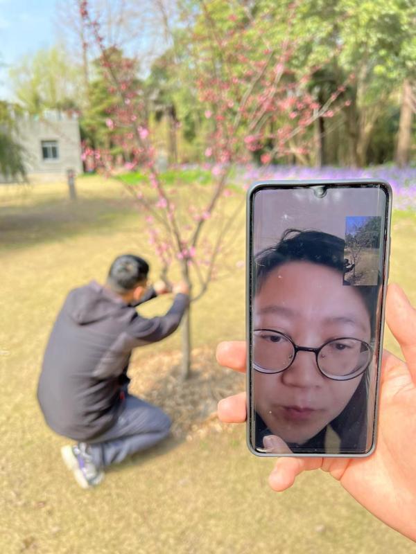 上海部分公园临时关闭或取消线下活动，植树节怎么办？