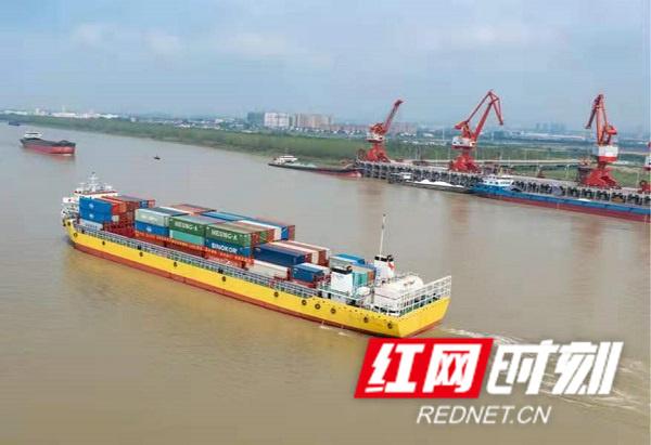 国企风采丨湖南远洋报关行助力企业“掘金”RCEP（中国远洋湖南分公司）