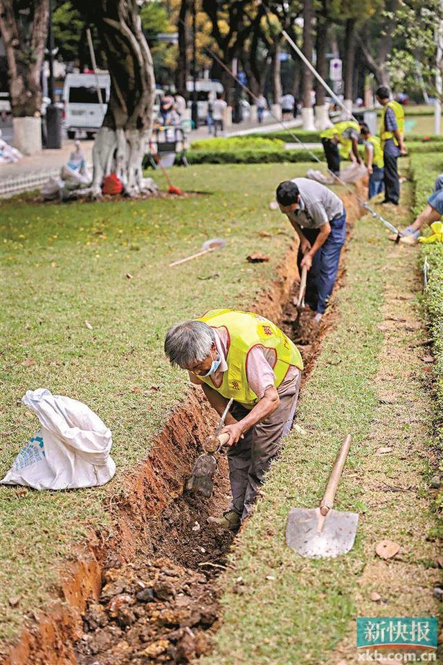 广州人民公园_以古树名木的标准养护人民公园的树（景区古树名木保护制度）