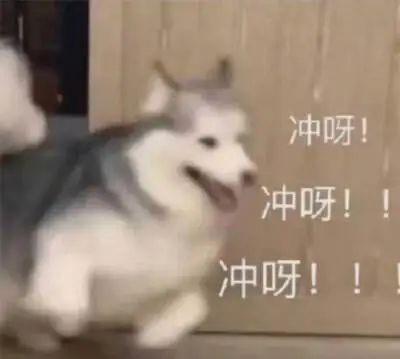 小学生为啥都爱唱《孤勇者》？