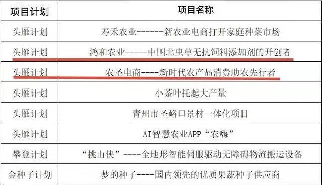潍坊科技学院2个创新创业项目入选团中央“头雁计划”（潍坊学院创业孵化基地）