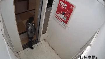 火机_一男孩在电梯内拿出打火机，惊险一幕发生……