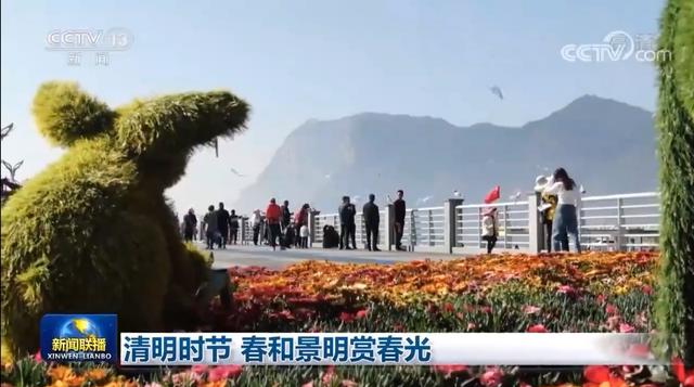 昆明滇池又上央视新闻联播啦（滇池看红嘴鸥）