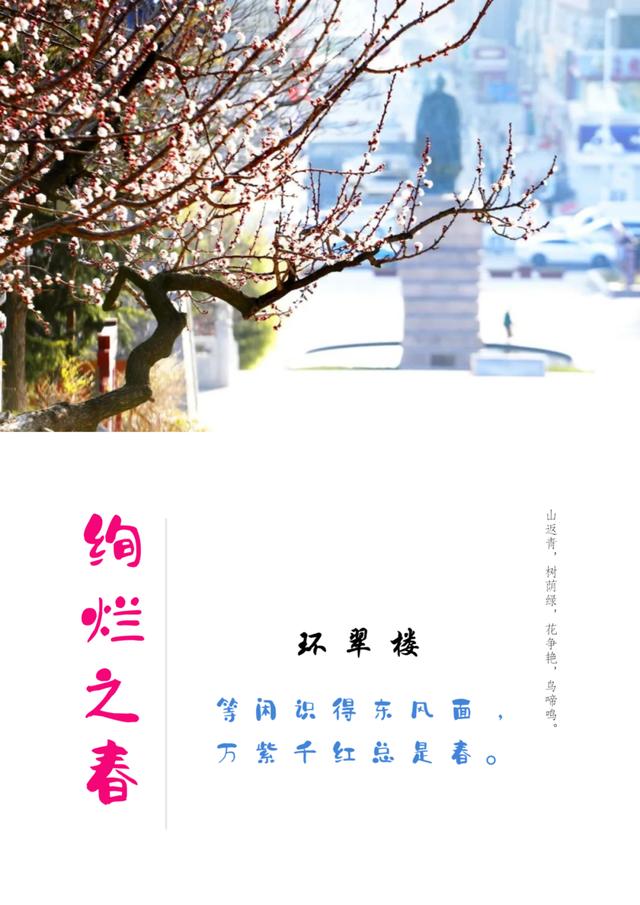 绚烂之春|在环翠楼，与春天的花海撞个满怀（徜徉在春天的花海里）