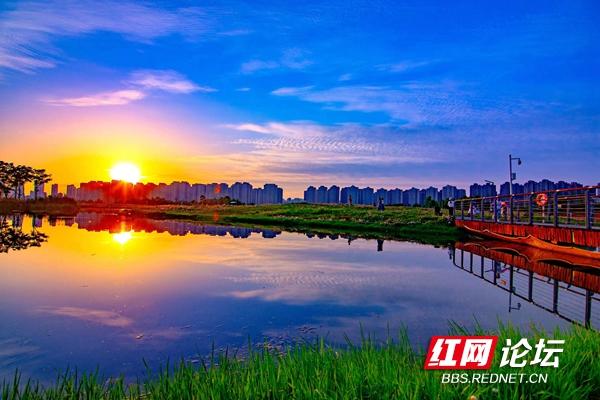 在洋湖湿地公园的晚霞里，我被青春撞了一下腰（游洋湖湿地公园作文）