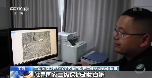 多种珍稀野生动物频频亮相 我国生物多样性保护取得明显成效（保护生物多样性就是保护野生动物）