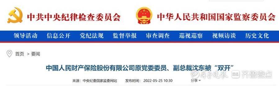 人保财险原副总裁沈东被"双开"：“风腐一体”突出，搞山头主义