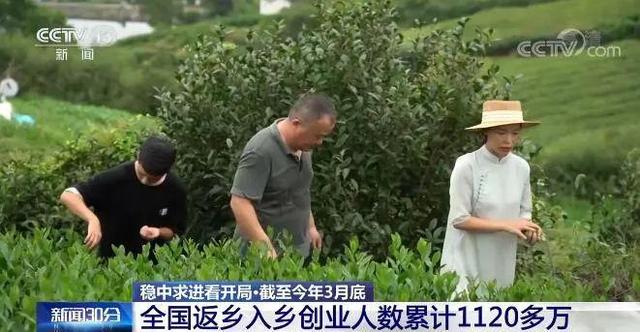 青年返乡创业，如何回得来、留得住、干得好？（年轻人返乡创业）