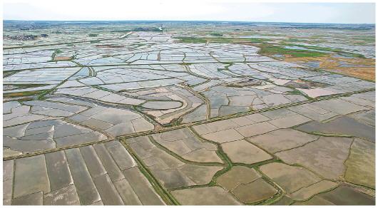 派得_“地球之癣”如何变成“国之粮仓”