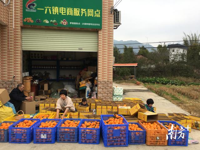 粤乡家风③丨夫妻携手返乡创业，“好家风”吹进大瑶山